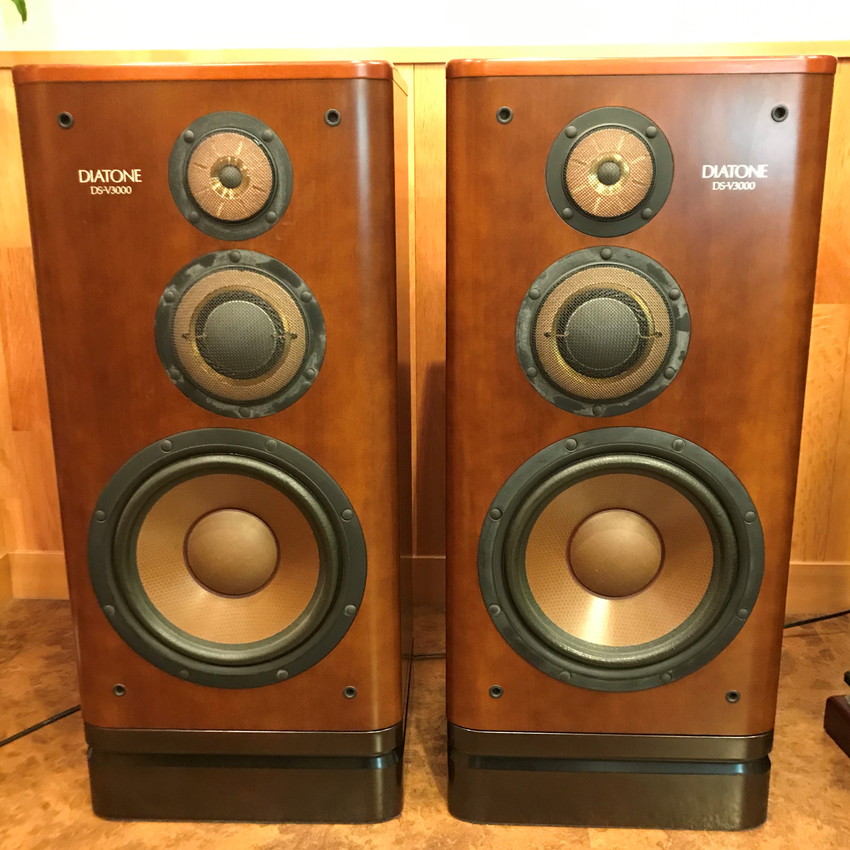 dsv3000_used