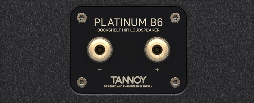 platinum_b6