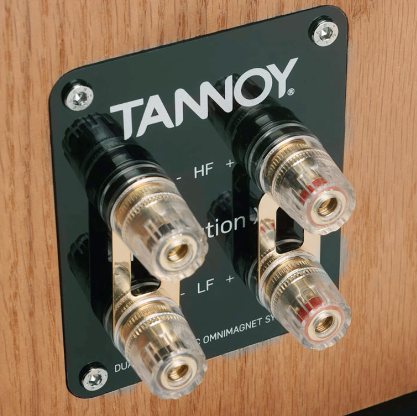 tannoy_revolution_xt6