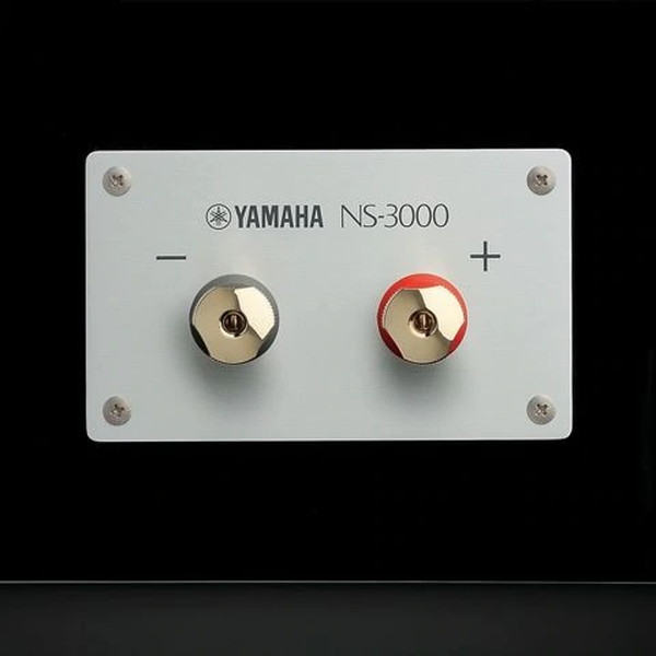 YAMAHA NS-3000