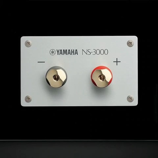 YAMAHA NS-3000