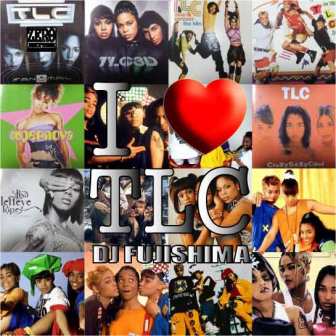 iڍ F DJ FUJISHIMA(MIX CD) I LOVE TLC