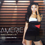 ���i�ڍ� �F AMERIE(12) THAT'S WHAT U R REMIX / SOME LIKE IT