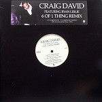���i�ڍ� �F CRAIG DAVID(12) 6 OF 1 THING REMIX