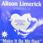 ���i�ڍ� �F �yUSED�zALISON LIMERICK (12) MAKE  IT ON MY OWN