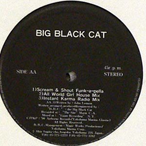 商品詳細 ： 【USED・中古】BIG BLACK CAT (12) SCREAM & SHOUT