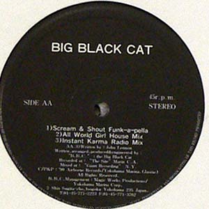 iڍ F yUSEDEÁzBIG BLACK CAT (12) SCREAM & SHOUT