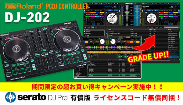 Roland DJ-202\tI