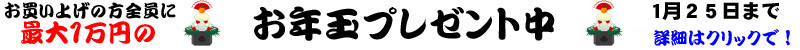 グ̕SɂNʃv[gI