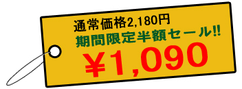 NAS(2LP) UNTITLED -無題- -DJ機材アナログレコード専門店OTAIRECORD
