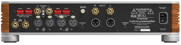Frankie hybrid preamplifier 背面端子部