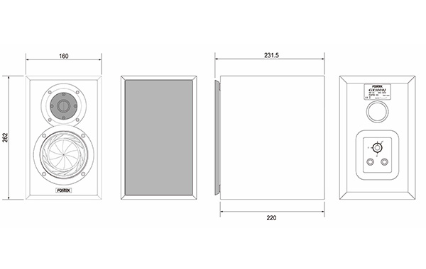 Fostex GX100BJ