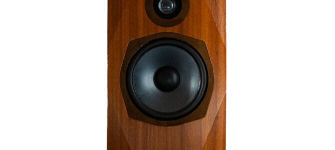 【3/5新発売】Tecnologia e Cuore  スピーカー  DS-TC52B！！！