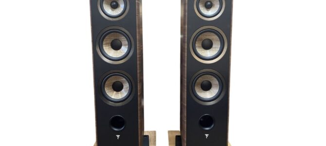～ 黄金の麻が奏でる ～  FOCAL  Aria 948