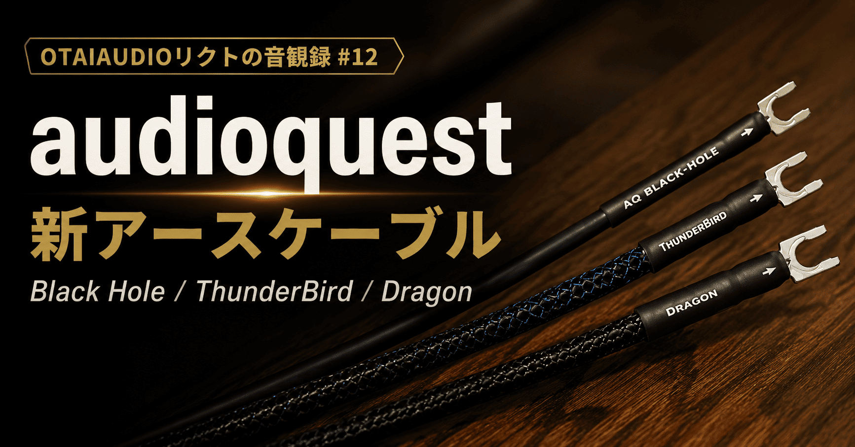 【OTAIAUDIOリクトの音観録 #12】アース線は脇役じゃない。audioquest新アースケーブル「Black Hole」「ThunderBird」「Dragon」をチェック！