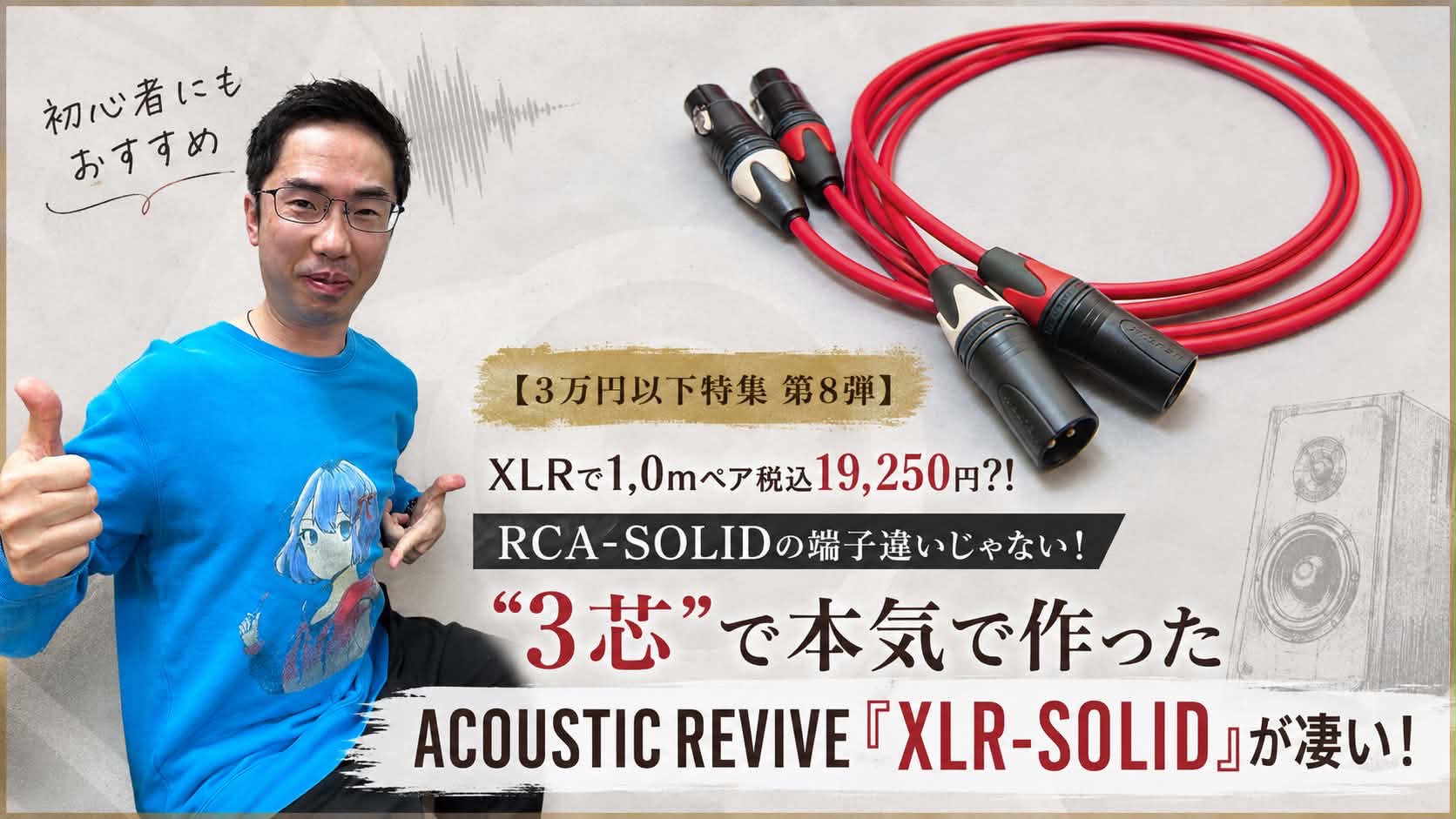 3万円以下特集 第8弾】XLRで1.0mペア税込19,250円？！RCA-SOLIDの端子
