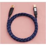 iڍ F Aurorasound/USBP[u/USB-NPL