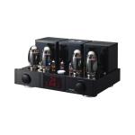 iڍ F TRIODE/vCAv/EVOLUTION MUSASHI