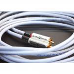 iڍ F Wireworld/C^[RlNgP[u/Solstice10