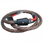 iڍ F Wireworld/Xs[J[P[u/Eclipse 10