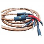 iڍ F Wireworld/Xs[J[P[u/Mini Eclipse 10