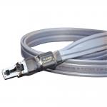 iڍ F Wireworld/C[TlbgP[u/Platinum Starlight 10