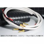 iڍ F Wireworld/Xs[J[P[u/Stream 10