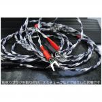 iڍ F Wireworld/Xs[J[P[u/Helicon 16x OCC