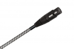iڍ F Wireworld/Micro-Platinum Eclipse 10/Balanced/fW^P[u