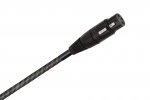 iڍ F Wireworld/Micro-Silver Eclipse 10/Balanced/fW^P[u