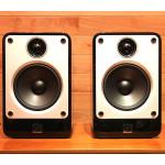 iڍ F yÕizQ ACOUSTICS/Xs[J[/CONCEPT 20J ubN(PAIR)