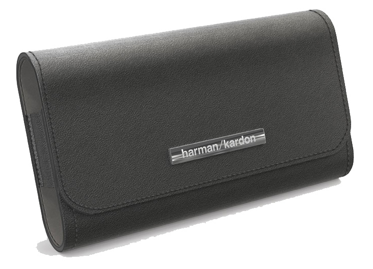 ESQUIRE MINI CARRYING CASE