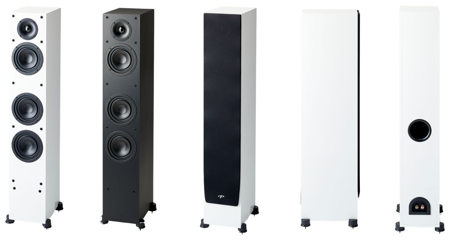 paradigm monitor 3000f
