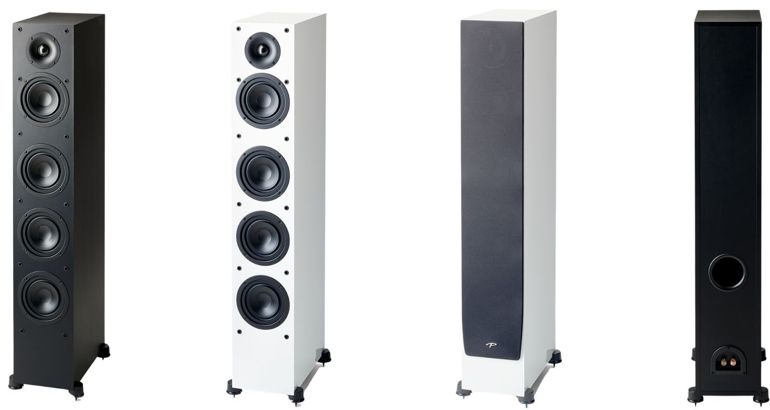paradigm monitor 6000f