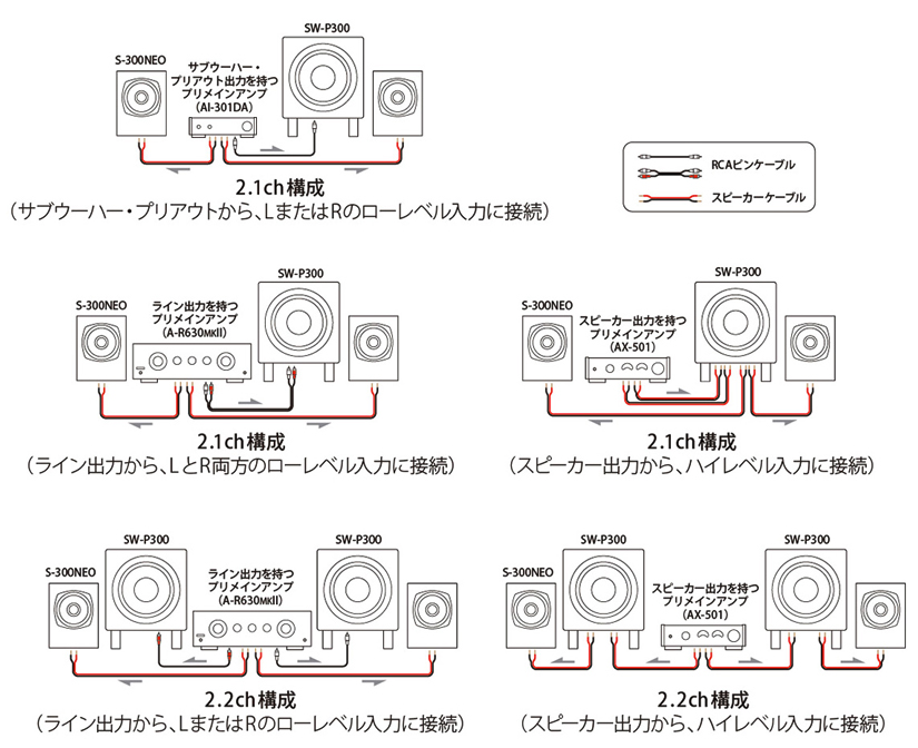 TEAC SW-P300