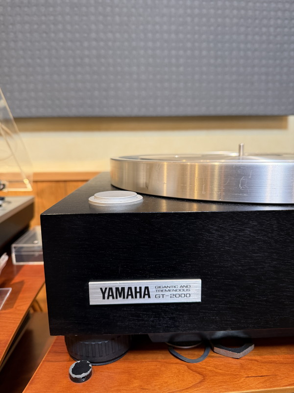 YAMAHA GT-2000/SAEC WE-407/23