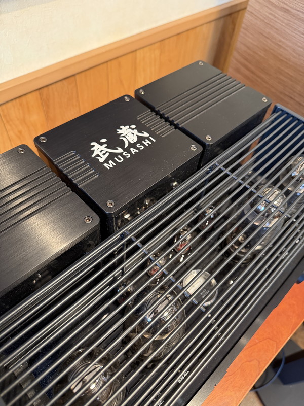 TRIODE MUSAHI EVORUTION