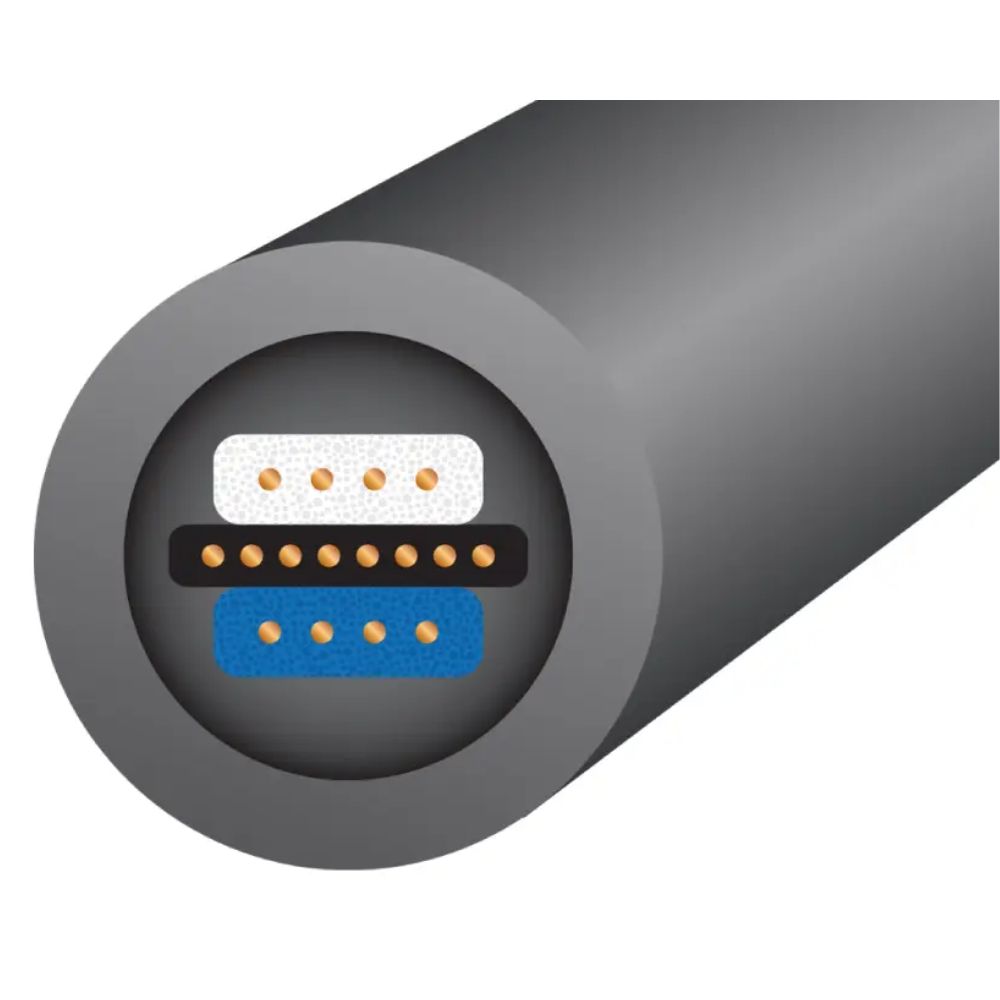 wireworld equinox 10