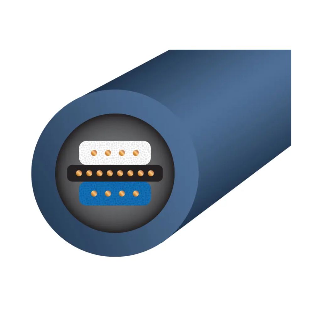 wireworld oasis 10