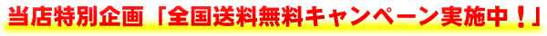 audioquest_noisestopper_muryou