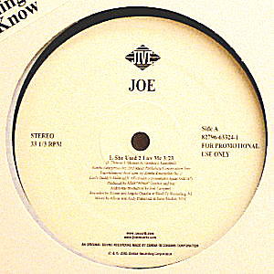 商品詳細 ： JOE(12) SHE USED 2 LUV ME 【坂本龍一の戦メリネタ！】