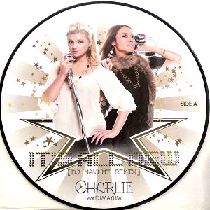 商品詳細 ： CHARLIE FEAT. DJ MAYUMI(12) IT'S ALL NEW (DJ MAYUMI REMIX)