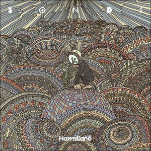iڍ F HAWAIIAN6(LP) BONDS