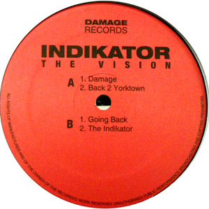 iڍ F INDIKATOR(12) THE VISION E.P.