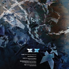 iڍ F DIPLO etc...(12) NINJA TUNE XX NO.4