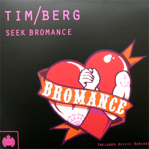 iڍ F TIM BERG(12) SEEK BROMANCE