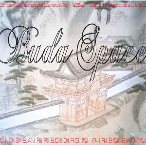 邦楽 /ブダモンク S.L.A.C.K. & 限定アナログLP/BUDAMUNK SPACE BUDA 2011 LP SPACE BUDA S.L.A.C.K. & BUDAMUNK 邦楽