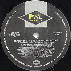 商品詳細 ： DIAMOND AND THE PSYCHOTIC NEUROTICS(12) BEST KEPT SECRET