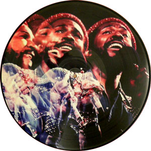 商品詳細 ： MARVIN GAYE (マーヴィン・ゲイ) (LP)  LIVE 【ピクチャーヴァイナル仕様!!】 　