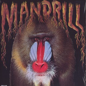 商品詳細 ： MANDRILL (マンドリル) (LP) タイトル名：MANDRILL
